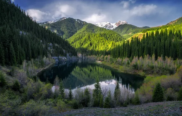 Деревья, горы, отражение в воде, горное озеро, красота природы, Алексей Кретов