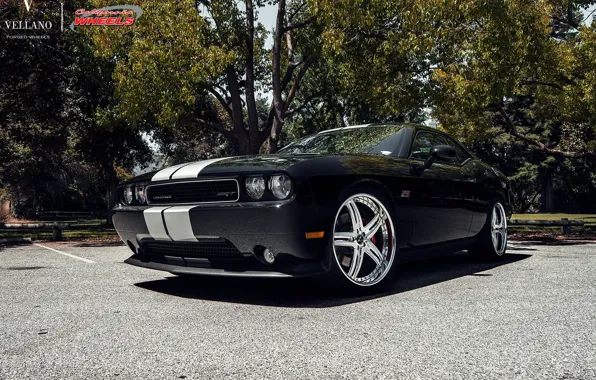 Dodge, Challenger, Vellano, standard, 061, vrh