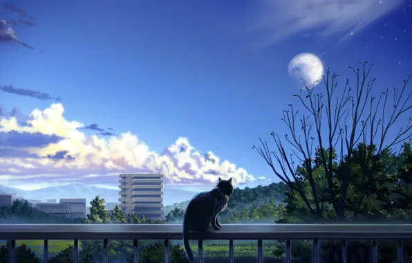 Картинка кошка, деревья, город, балкон