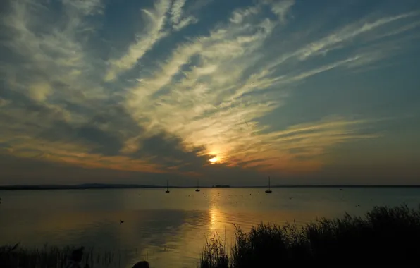 Картинка закат, Германия, Germany, sunset, Штайнхудер Мер, озеро в Ганновере, Steinhuder Meer