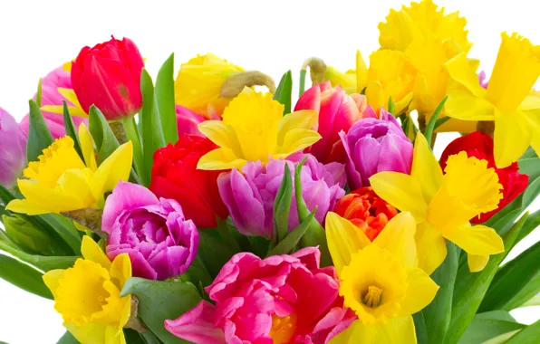 Весна, colorful, тюльпаны, 8 марта, flowers, beautiful, нарциссы, Tulips