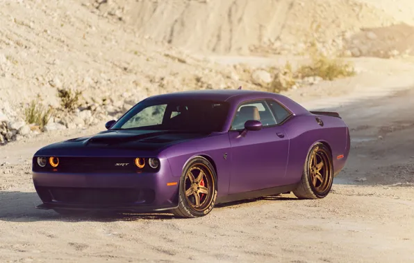 Картинка Dodge, Challenger, Hellcat, Track, Function, ADV5