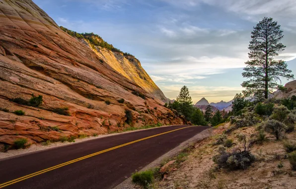 Дорога, деревья, горы, скалы, Utah. Summer, Leaving Zion National Park