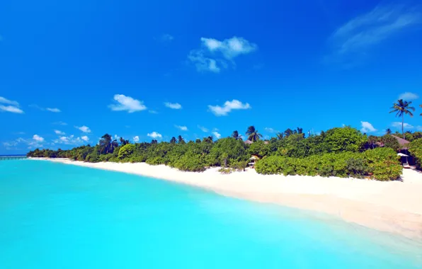 Картинка песок, море, пляж, небо, пальма, Мальдивы, бунгало
