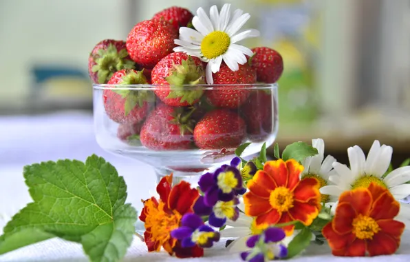 Картинка лето, цветы, ягоды, ромашка, клубника, виола, бархатцы