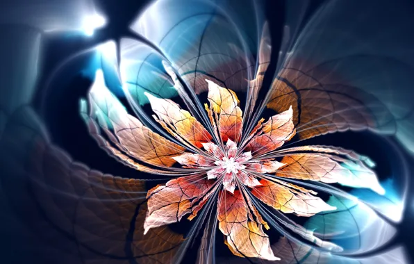 Картинка цветок, абстракция, фон, форма