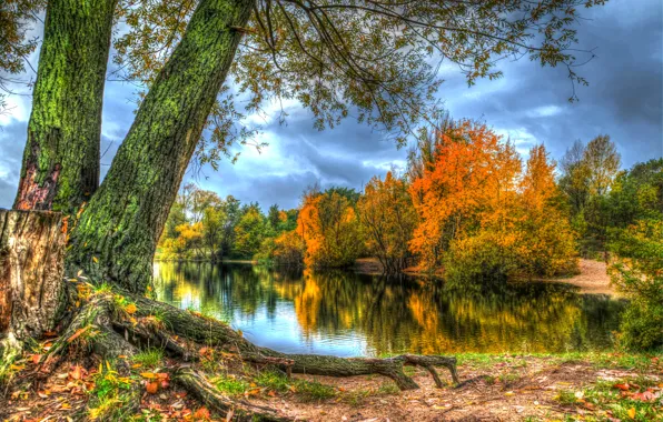 Картинка осень, лес, листья, деревья, река, берег, HDR
