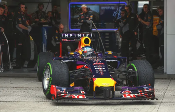 Гонщик, Formula 1, Vettel, Чемпион, Sebastian