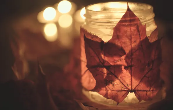 Light, Autumn, leaves, Bokeh