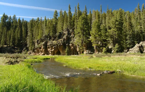Лес, пейзаж, природа, парк, река, США, Невада, Great Basin