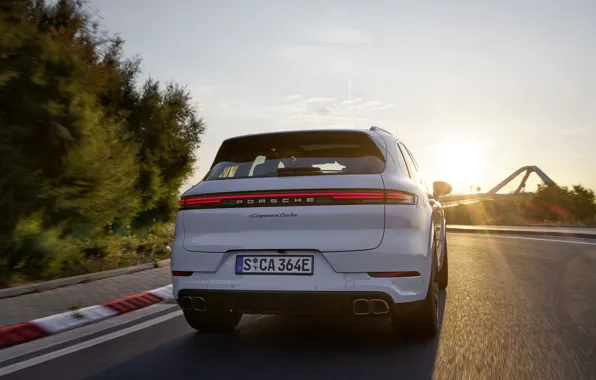 Картинка Porsche, Cayenne, rear view, Porsche Cayenne Turbo E-Hybrid