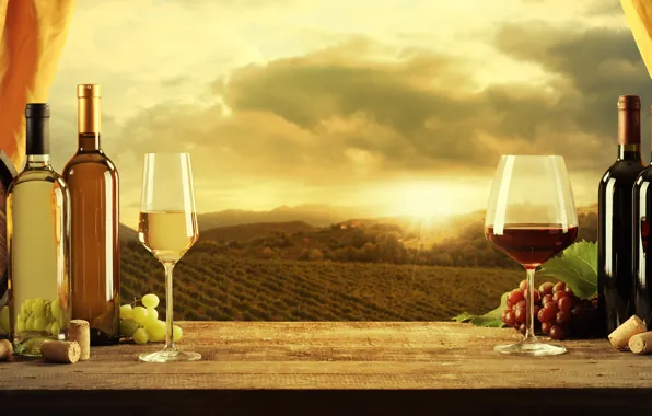 Картинка вино, красное, белое, бокалы, виноград, пробки, бочки, штопор