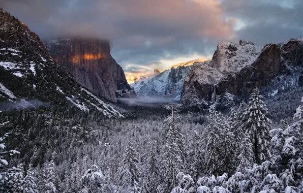 Картинка зима, лес, деревья, долина, Калифорния, California, Национальный парк Йосемити, Yosemite National Park