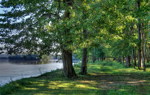 Зелень, лето, трава, деревья, река, берег, США, Indiana