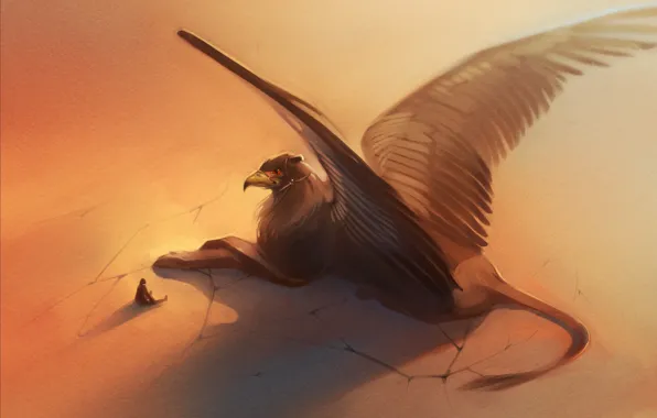 Картинка человек, крылья, клюв, арт, хвост, грифон