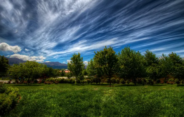 Картинка зелень, небо, трава, облака, деревья, пейзаж, природа, green