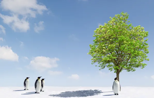 Картинка животные, снег, деревья, дерево, лёд, пингвины