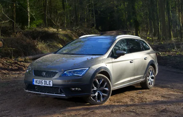 Car, Leon, Seat, Vehicle, X-Perience, Seat Leon, Seat Leon X-Perience