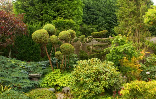 Картинка зелень, деревья, парк, забор, Англия, кусты, West Midland Safari Park, Bewdley