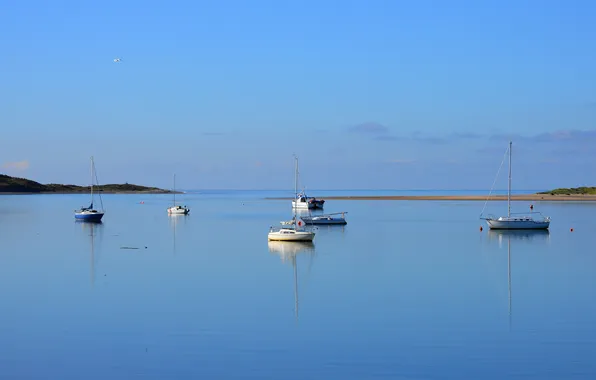 Море, небо, лодка, утро, яхта, гавань