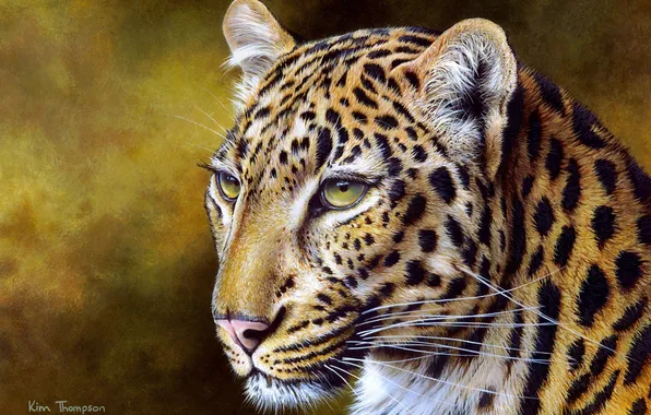 Картинка живопись, леопарды, Kim Thompson