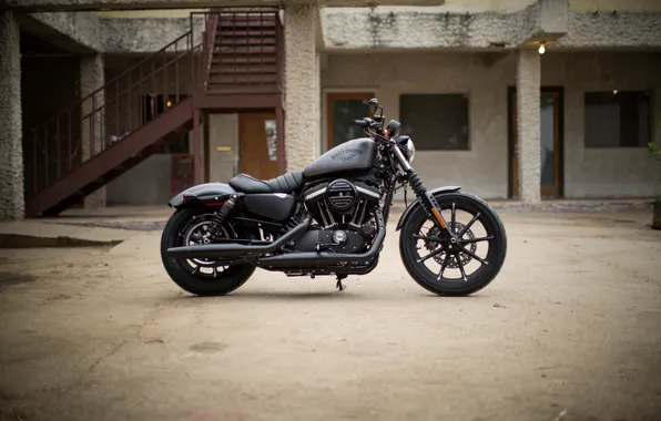 Картинка moto, american, Harley-Davidson, iron, Sportster, v-tvin, 883