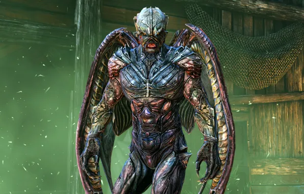 Nosgoth, Legacy of cain, Наследие Кайна