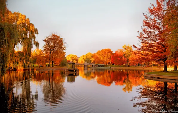 Осень, деревья, озеро, отражение, беседка
