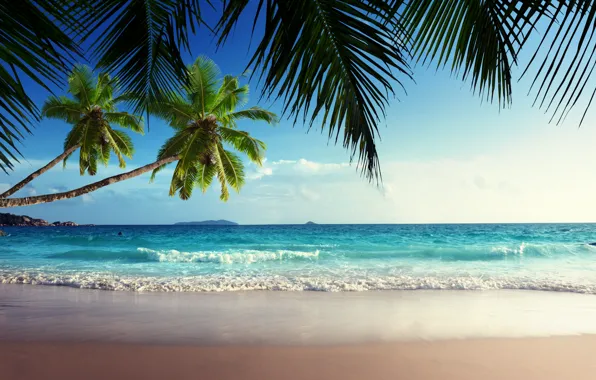 Картинка песок, море, пляж, небо, солнце, тропики, пальмы, океан