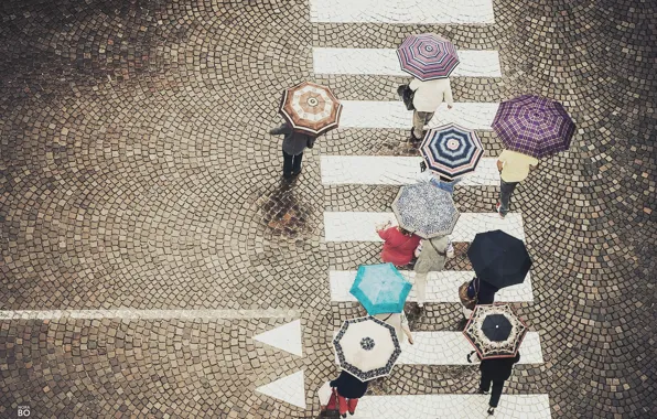 Картинка люди, улица, зонтики, street, people, прогулки, umbrellas, пешеходный переход