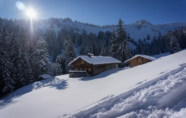 Зима, снег, деревья, горы, Германия, Бавария, сугробы, домики