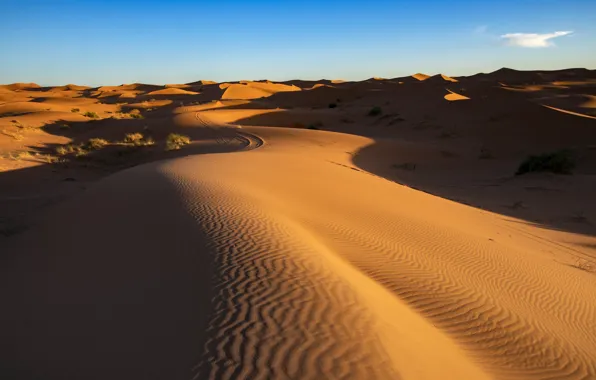 Песок, пустыня, дюны