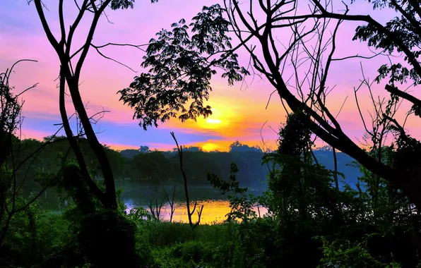 Sky, Sun, Water, Sunrise, Dawn, Morning, Lake, Trees