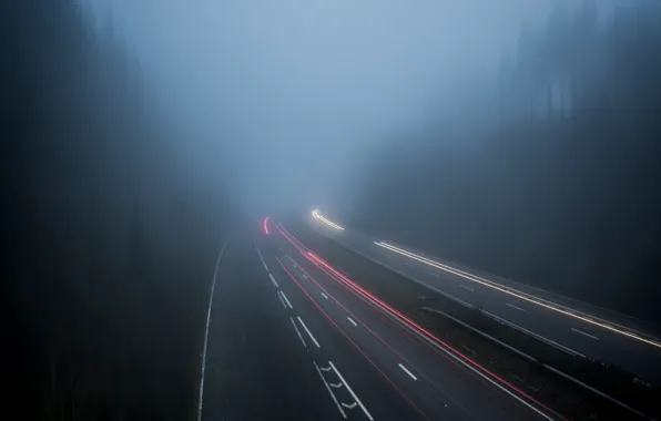 Картинка дорога, лес, деревья, туман, Англия, выдержка, трафик, Великобритания