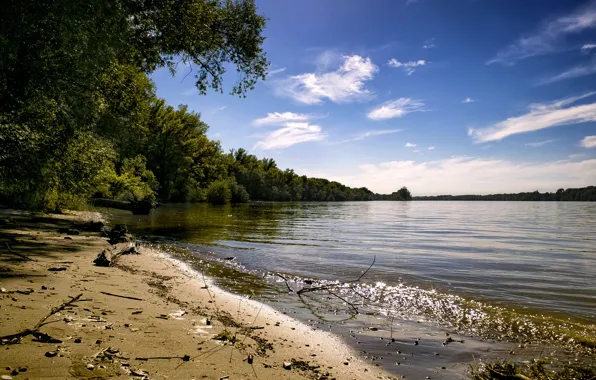 Картинка summer, forest, river, sky, trees, water, Danube River, Danube