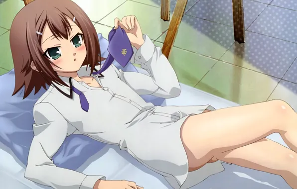 Галстук, лежит, рубашка, парень, на полу, смущение, Baka to Test to Shoukanjuu, Hideyoshi Kinoshita