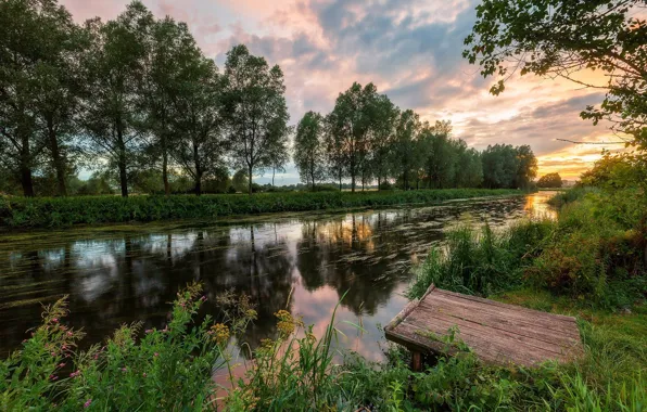 Вода, Деревья, Канал