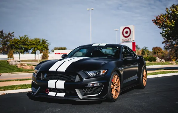 Mustang, Shelby, GT350
