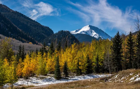 Осень, лес, снег, горы