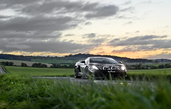 Картинка Lamborghini, Superleggera, Gallardo, Road