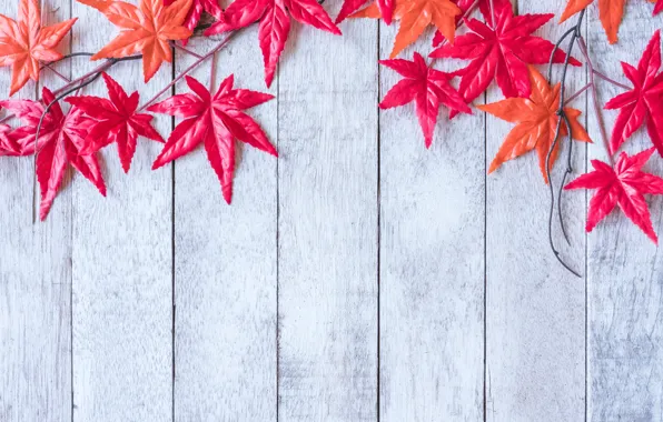 Картинка осень, листья, фон, дерево, red, клен, wood, background