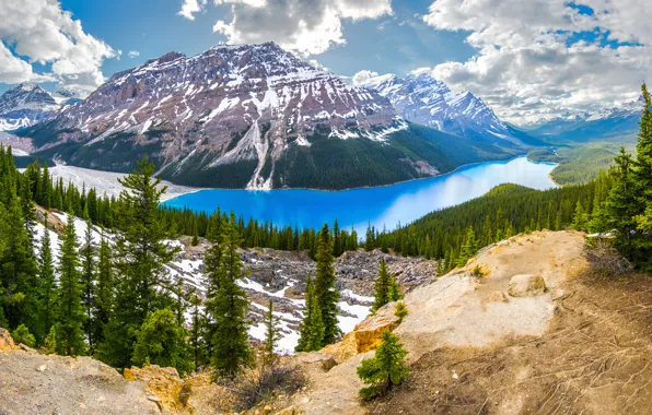 Banff National Park, Canada, Peyto lake