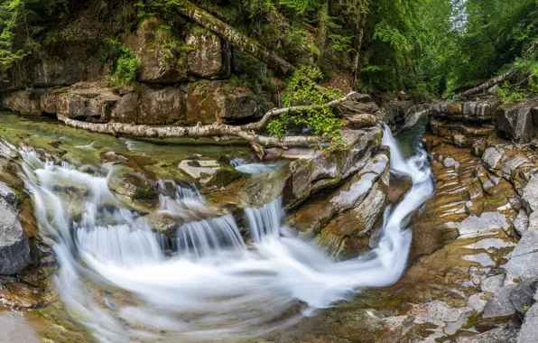 Лес, камни, скалы, водопад, поток, бревно