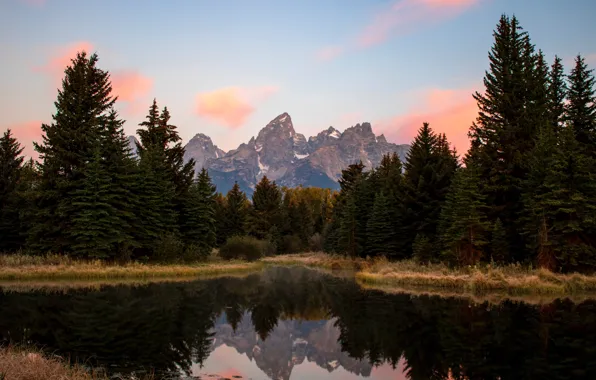 Картинка Лес, Вайоминг, USA, США, Wyoming, Jackson, Джексон, Sunrise