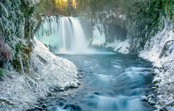 Картинка зима, лес, снег, природа, река, водопад, утро