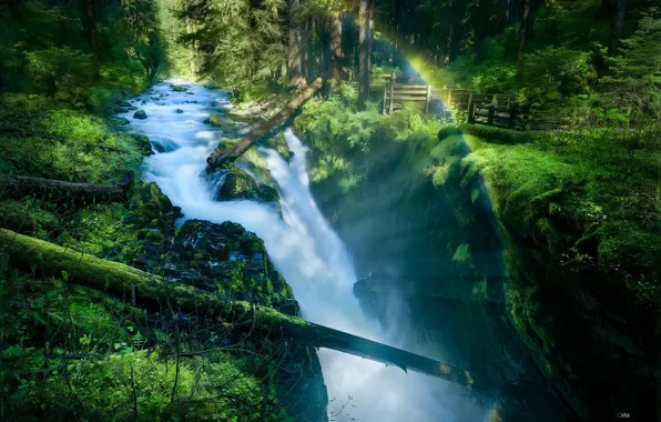 Картинка лес, река, водопад, брёвна, Olympic National Park, Sol Duc Falls, Sol Duc River, Национальный парк …