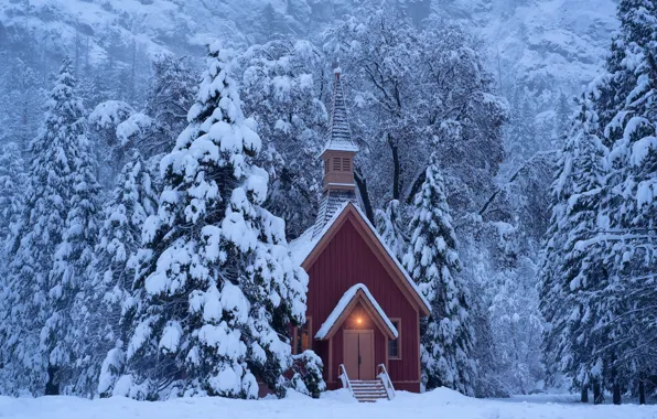 Картинка зима, лес, снег, деревья, ели, Калифорния, часовня, California