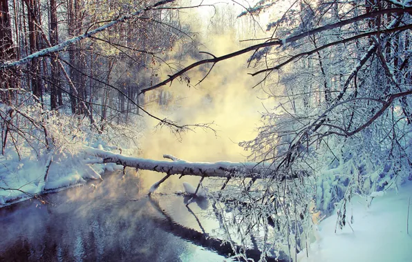 Картинка зима, снег, ветки, озеро, пар