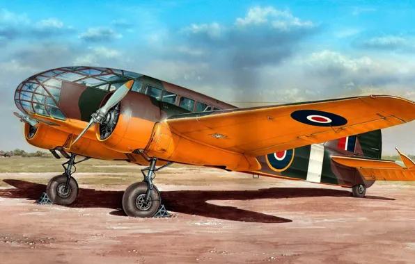 Италия, Великобритания, бомбардировщик, Raf, самолёт-разведчик, Stanislav Hajek, Caproni Ca.311