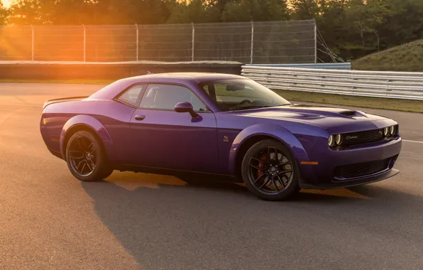 Dodge, Challenger, вид сбоку, Widebody, Scat Pack, Challenger RT, 2019